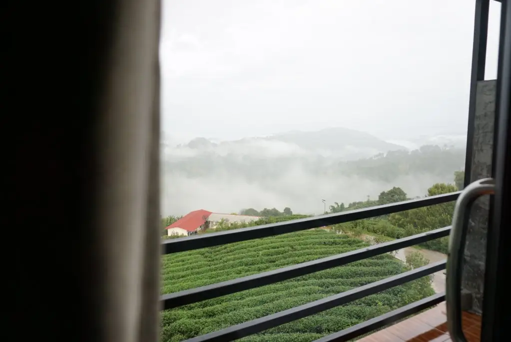 Мае Фа Луанг: 101 Tea Green View