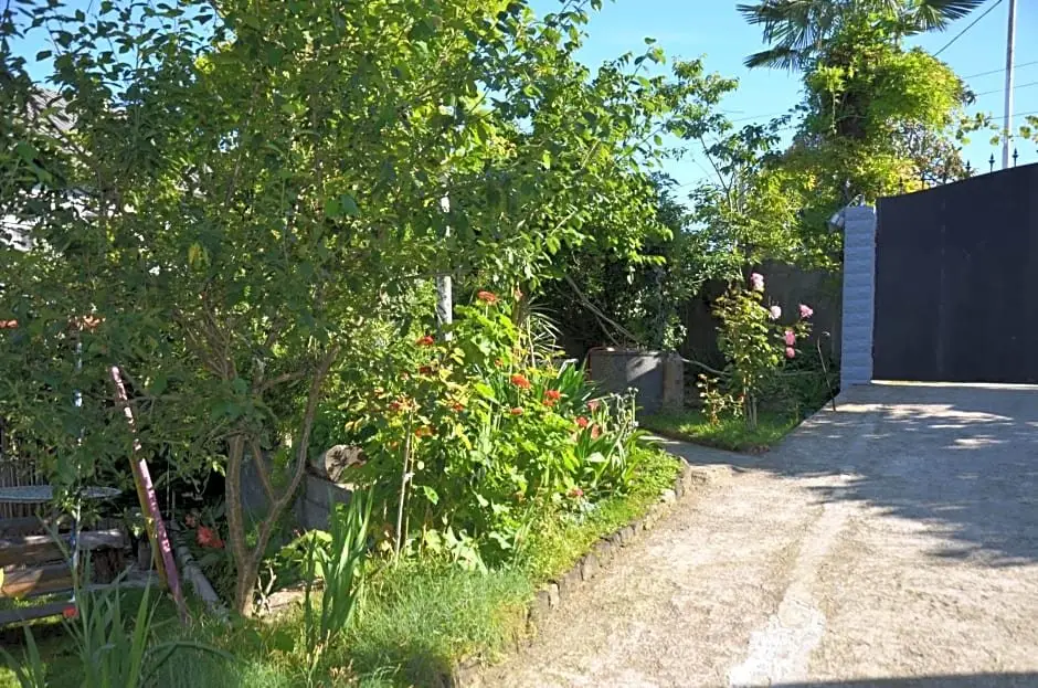 Батуми: TJ Hostel