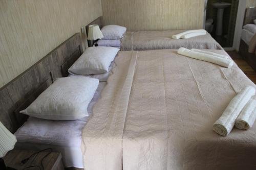 Степанцминда: Inga Guest House