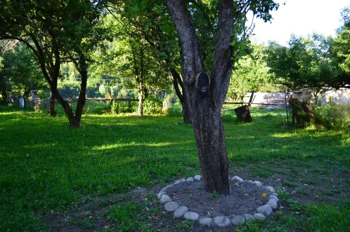 Местиа: Отель Garden House
