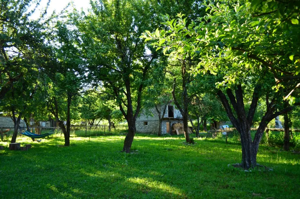 Местиа: Отель Garden House