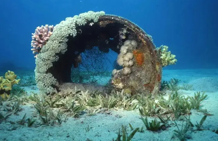 Дахаб: Star Of Dahab Hotel