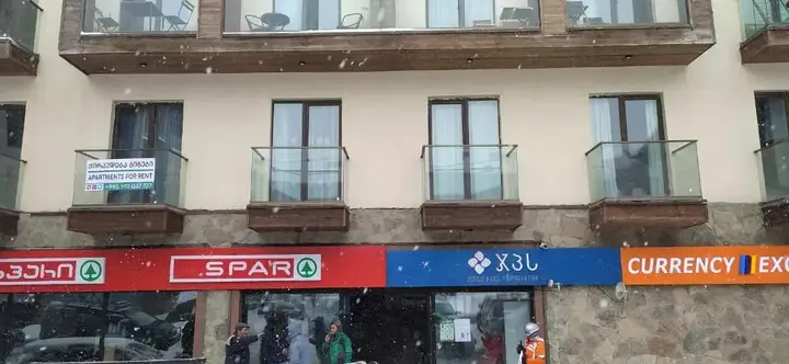Гудаури: Gudauri Ski Apartment