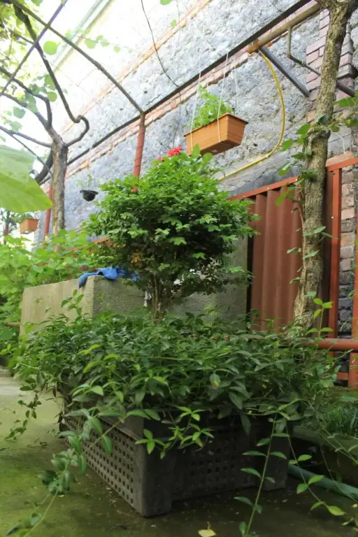Лагодехи: The Kiwi Guesthouse