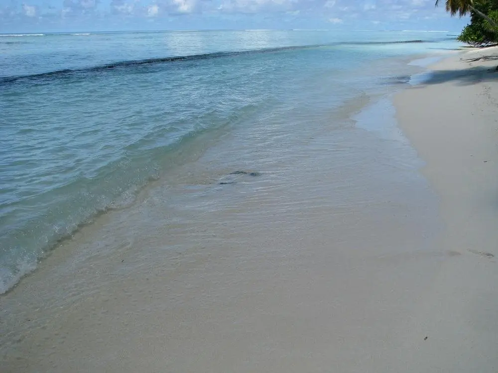 Атолл Фаафу: Apquo Veli Hotel Nilandhoo