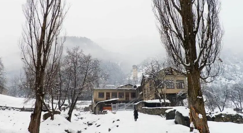 Местиа: Guest House Laleeta