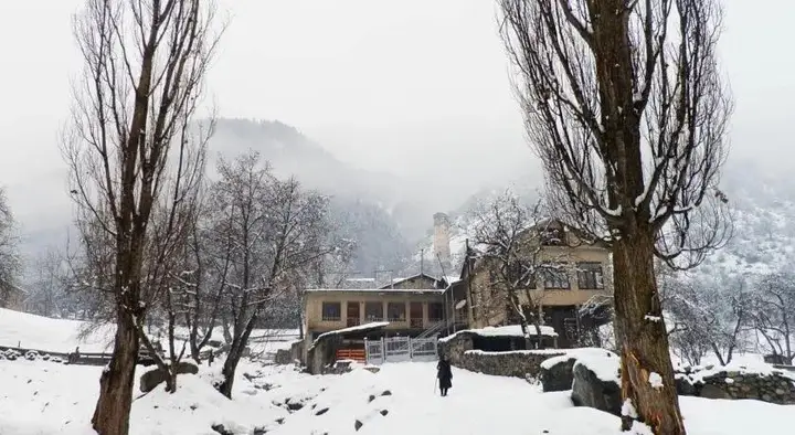 Местиа: Guest House Laleeta
