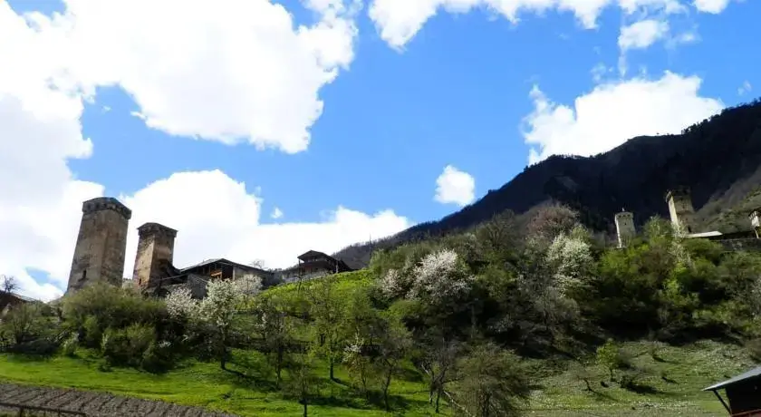 Местиа: Guest House Laleeta