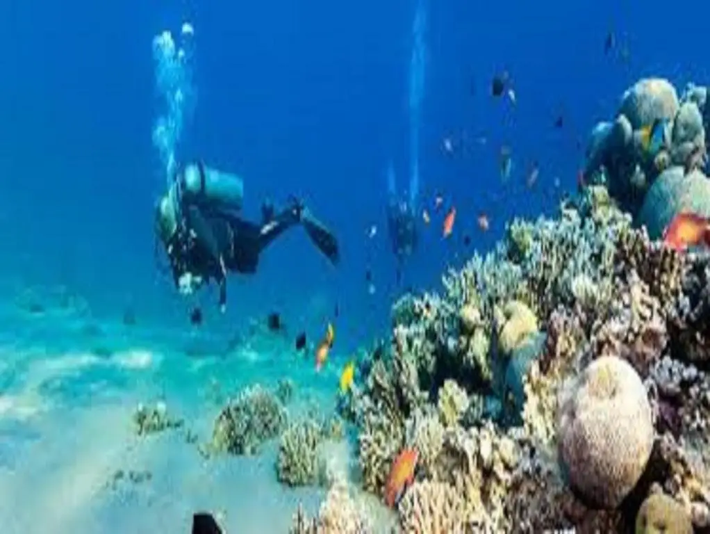 Дахаб: Jimmy Hotel Dahab