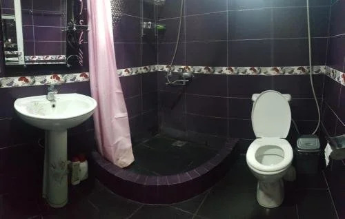 Вардзиа: Guest house Imedi