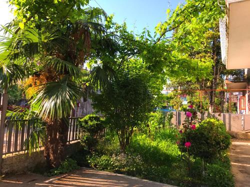 Батуми: Guest House Miranda