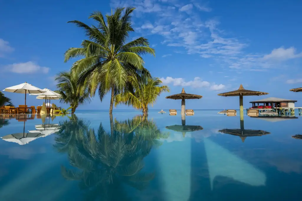 Северный атолл Мале: Centara Ras Fushi Resort & Spa Maldives