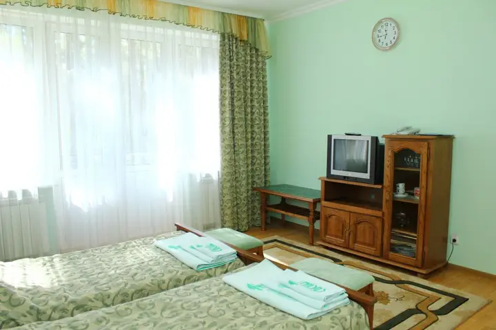 Гатовичи: Sosny (Minskaja oblast')