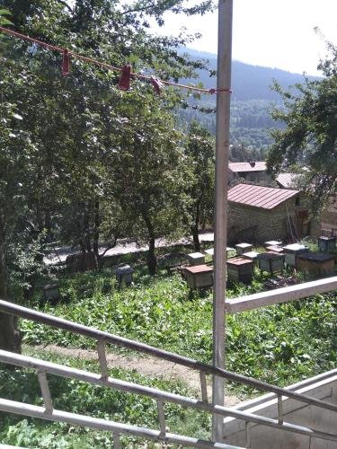 Местиа: Svanchiko Guest House