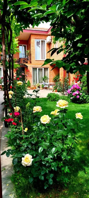 Тбилиси: Апартаменты Green Garden