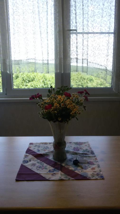 Железноводск: Apartment on Lenina 8