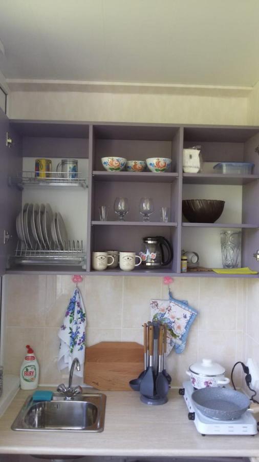 Железноводск: Apartment on Lenina 8