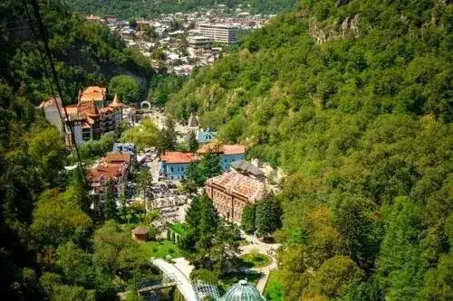 Бакуриани: Hotel Daviti