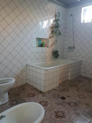 Зугдиди: My Moon Hostel