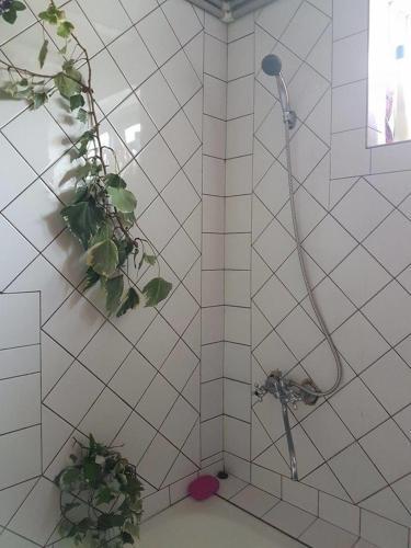 Зугдиди: My Moon Hostel