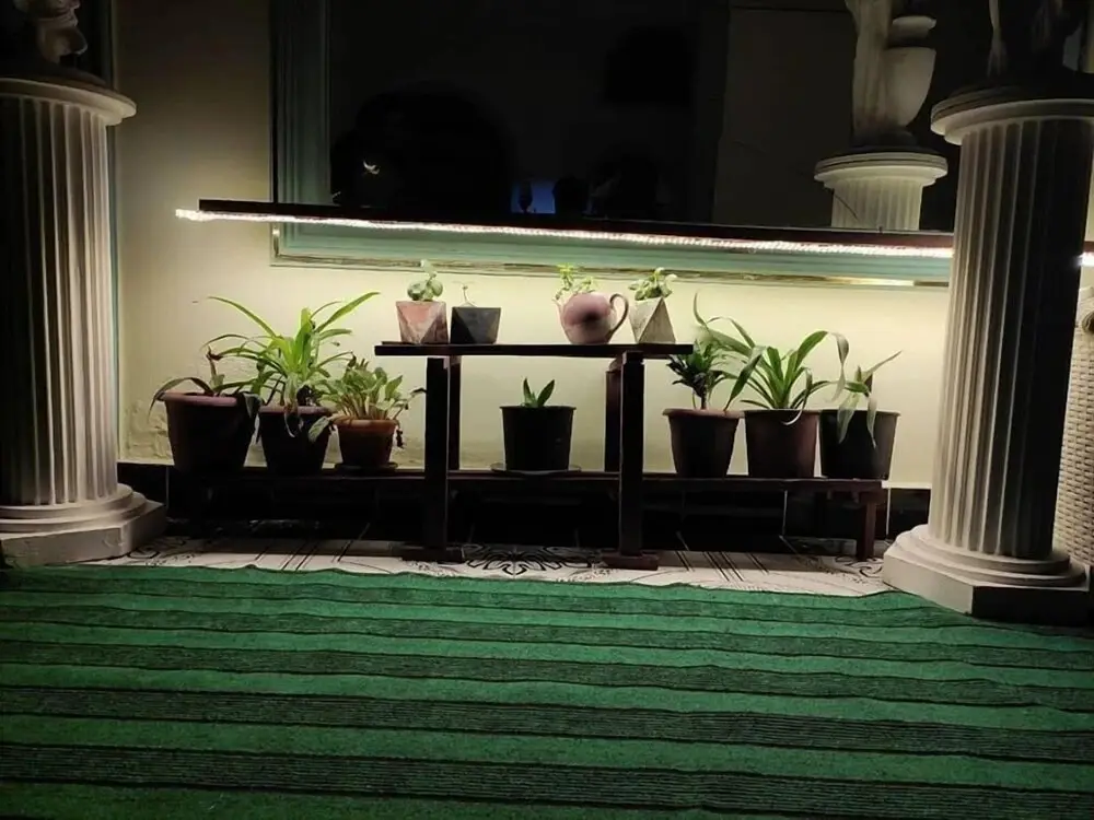 Баку: Flora Hostel