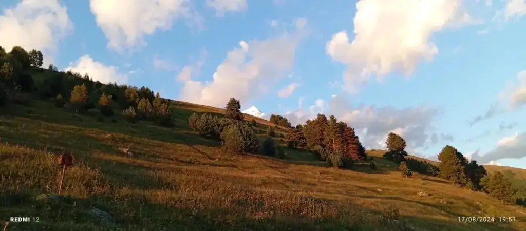 Халде: Elizabeth's Guest House