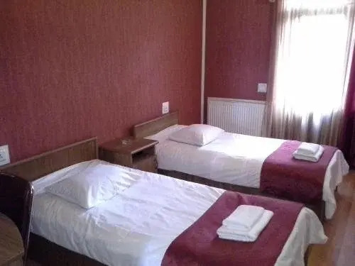 Ахалцихе: Guest house Fiesta