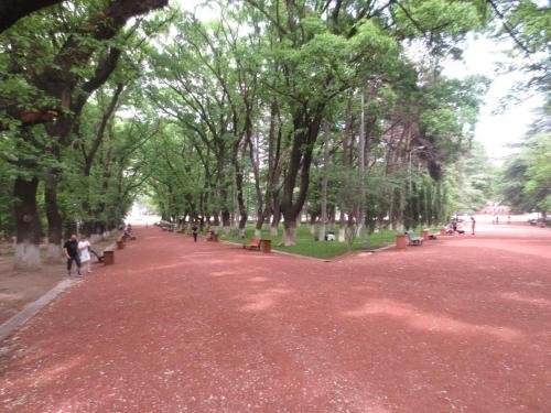 Тбилиси: Hostel on Tskhvedadze 30a