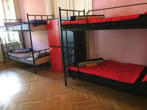 Тбилиси: Squirrel Hostel Tbilisi