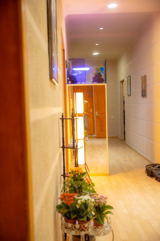 Тбилиси: Хостел Wine Hostel