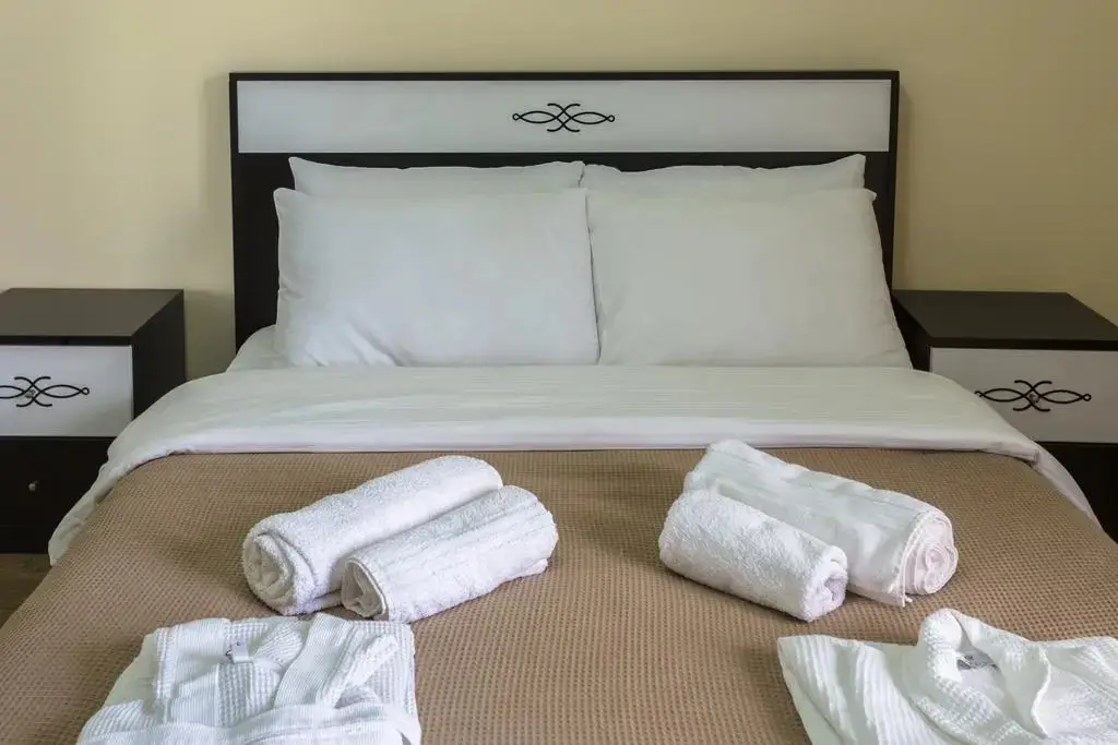 Шекветили: Guria Palace Hotel