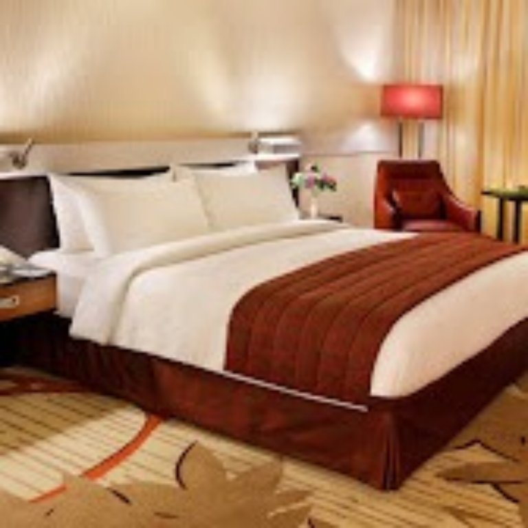 Дубай: Отель Excelsior Hotel Downtown