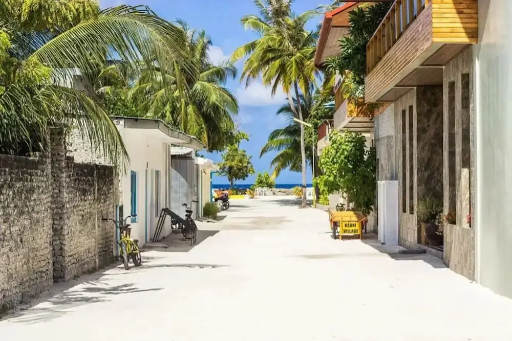 Coconut Tree Hulhuvilla Beach — фото 1