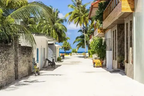 Coconut Tree Hulhuvilla Beach — фото 1