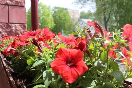 Брест: Idea-Studio
