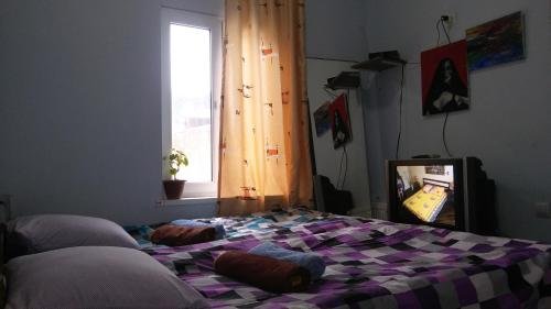 Тбилиси: Best apartment vareron
