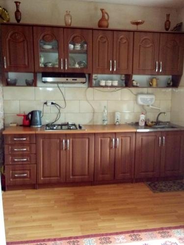 Боржоми: Guesthouse Megi on Robaqidze 6