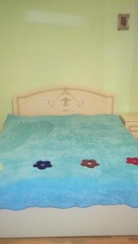 Боржоми: Guesthouse Megi on Robaqidze 6