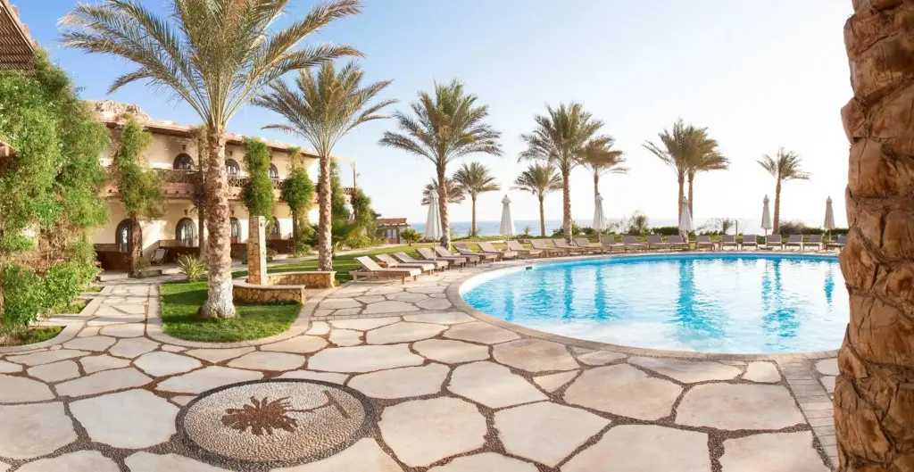 Дахаб: Dahab Paradise