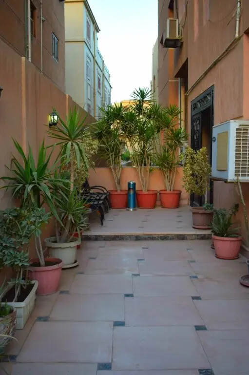 Каир: Travelholic Hostel