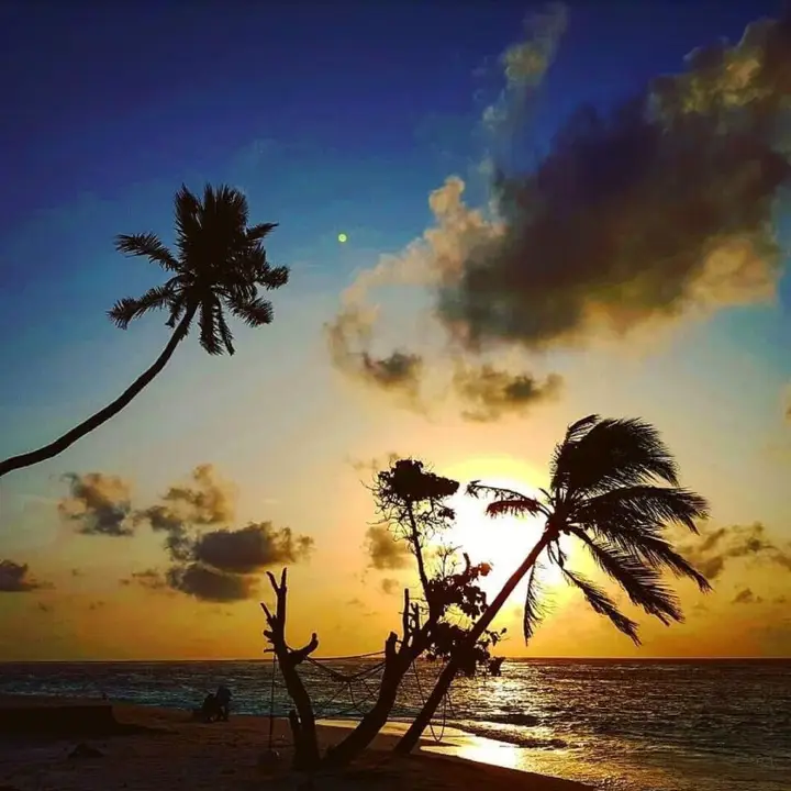 Атолл Алиф-Алиф: Гостевой Дом Feridhoo Inn