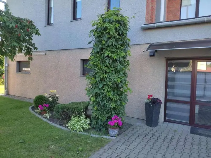 Брест: Guest House Kak Doma