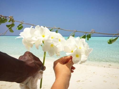 Атолл Фелидху: Real Ocean Keyodhoo Maldives
