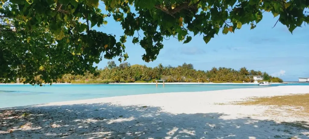 Южный Мале Атол: Отель La Isla Tropica