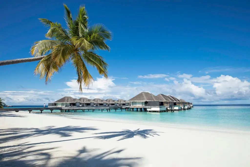 Атолл Гаафу-Дхаалу: Outrigger Konotta Maldives Resort