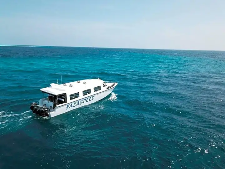 Дейнджти: Daisy Cottage Dhangethi
