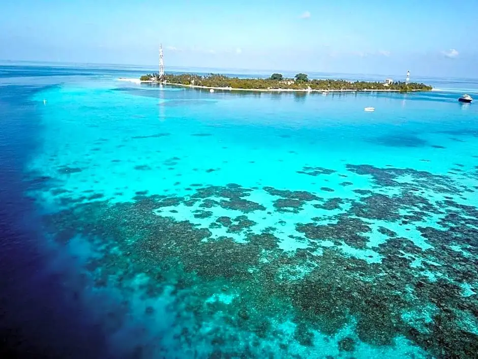 Дейнджти: Daisy Cottage Dhangethi