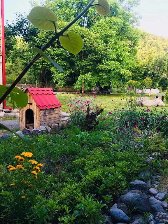 Лагодехи: Guesthouse STAR Lagodekhi