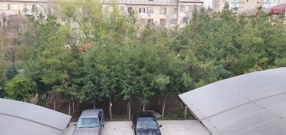 Ташкент: City Inn Hotel