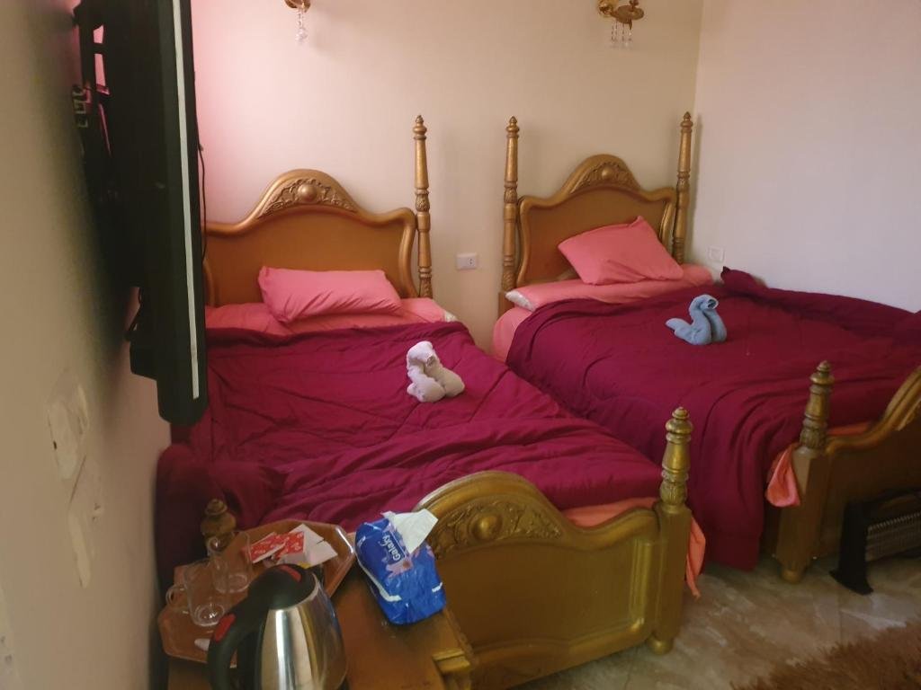 Гиза: 2 Jana Pyramids view inn